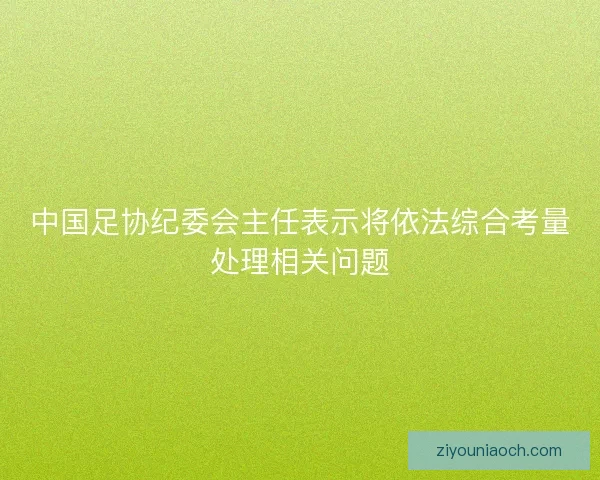 中国足协纪委会主任表示将依法综合考量处理相关问题